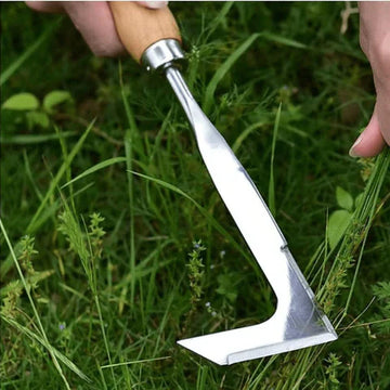 Crack Weeding Tool